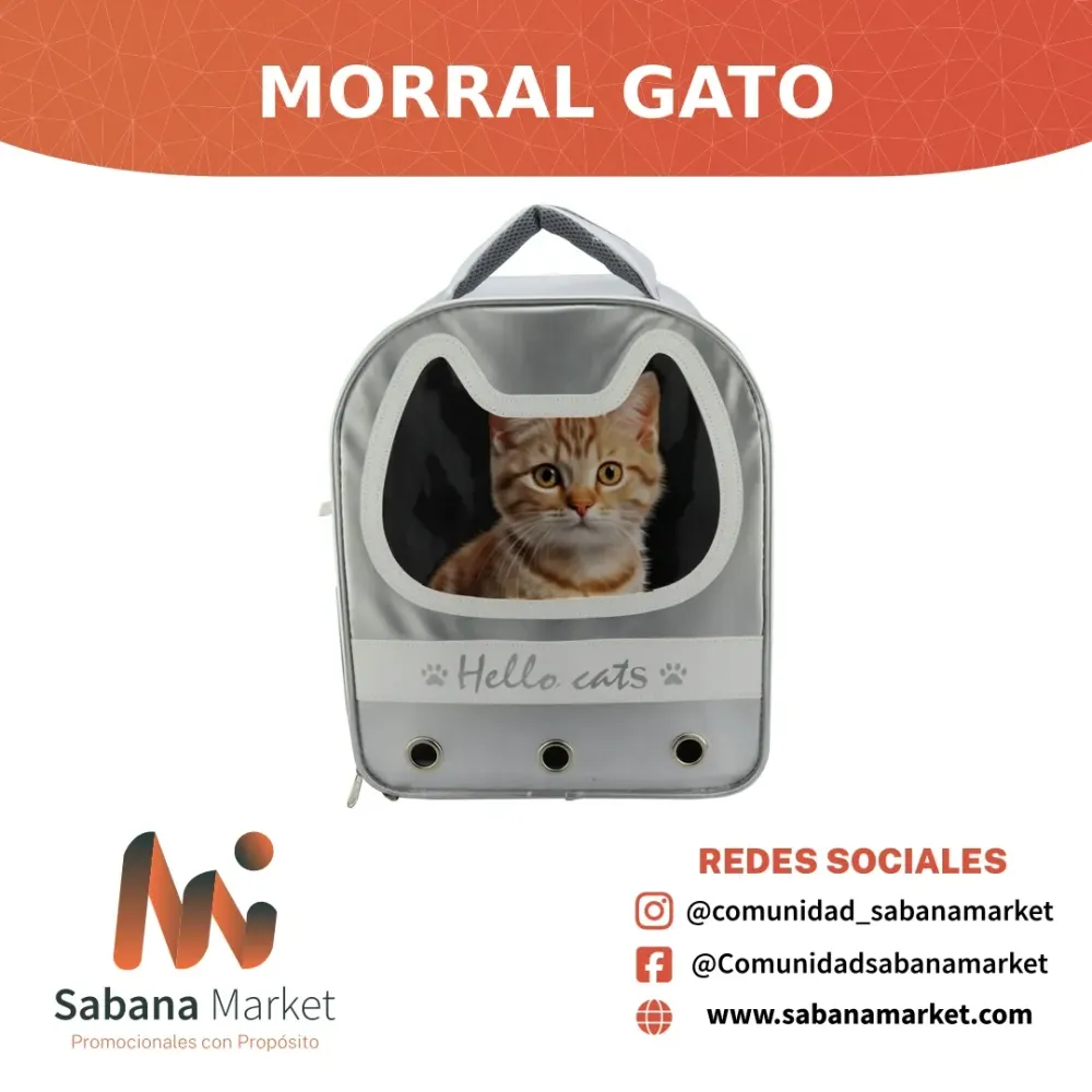 Morral Gato