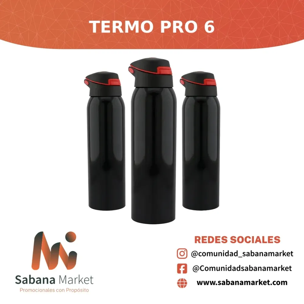 Termo Pro 6