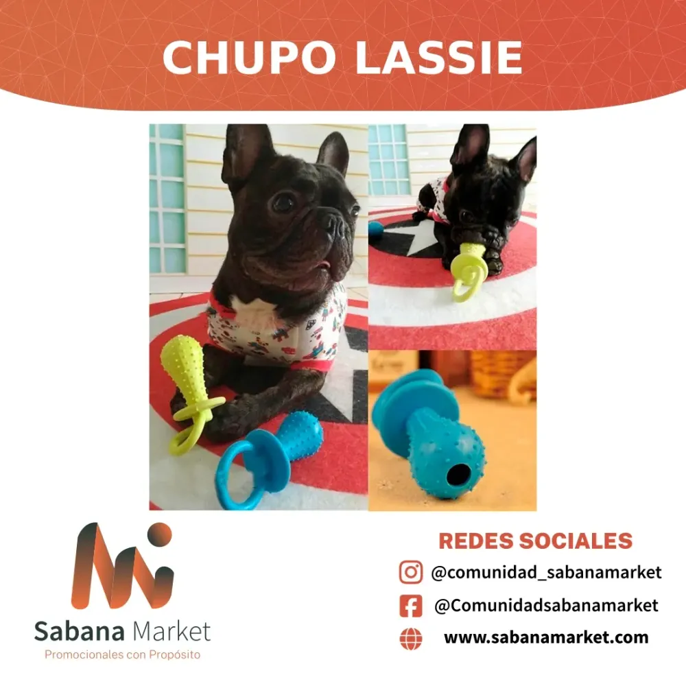 Chupo Lassie