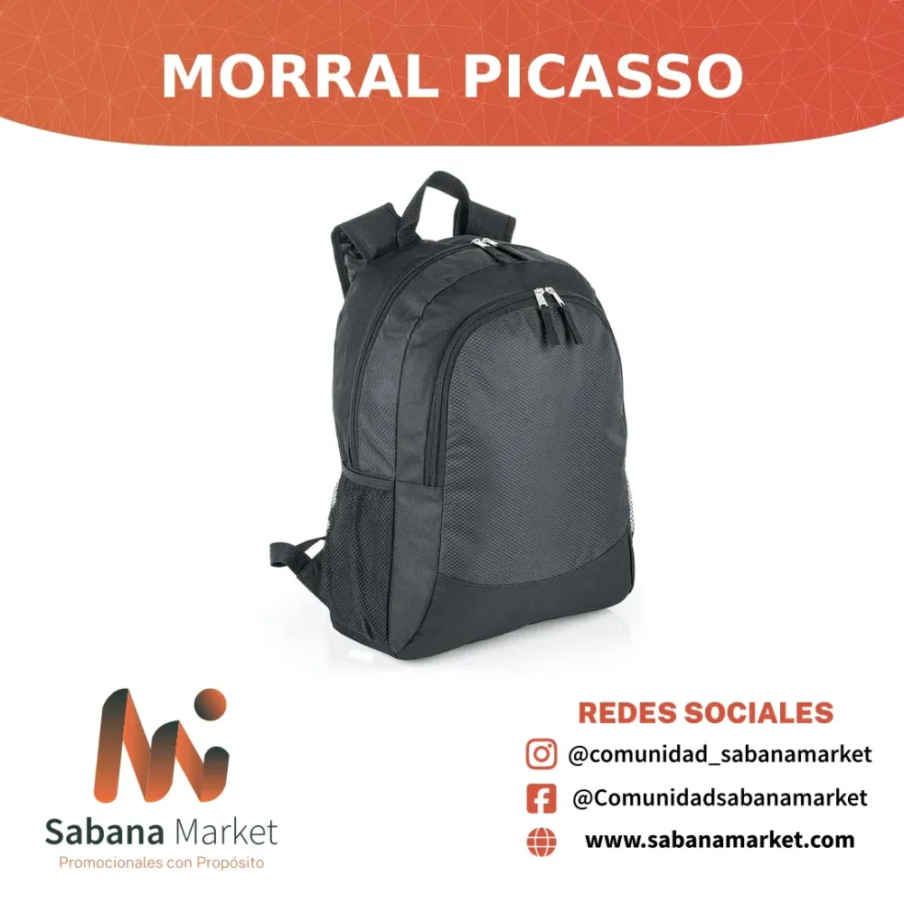 Morral Picasso