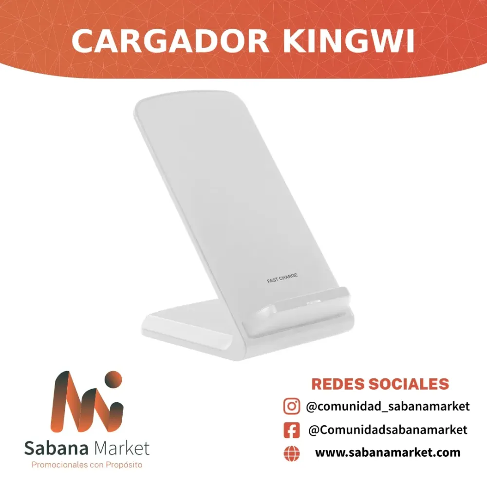 Cargador ¨Kingwi¨